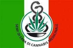 Itália autoriza uso medicinal da maconha