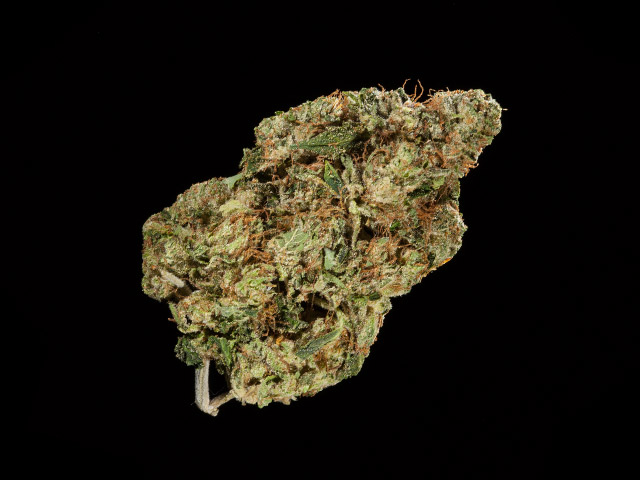 2nd-Place---Lorax-OG-by-Lorax-Labs