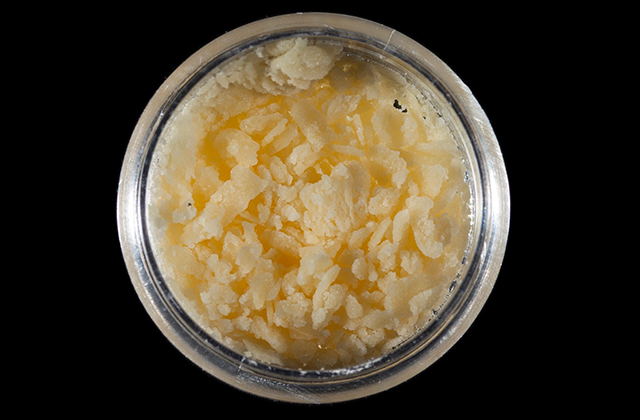 HybridConcentrate1