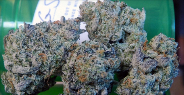 florida-cannabis-brokers-girl-scout-cookies2