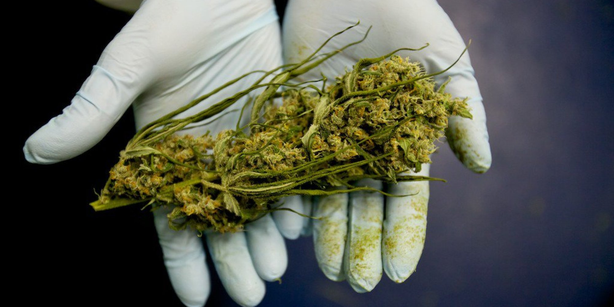 Colômbia rejeita importação de medicamentos com maconha | Maryjuana